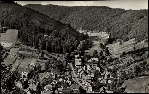 Ak Unterweißbach im Thüringer Wald, Weißbachgrund