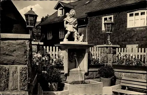 Ak Steinach im Thüringer Wald, Rossenbrunnen