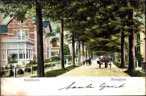 Ak Apeldoorn Gelderland, Marialaan