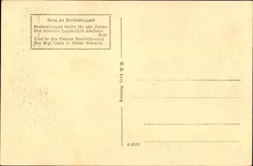 Ak Bruhnskoppel Malente in Ostholstein, Hotel und Pension Bruhnskoppel