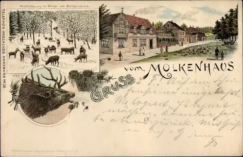 Vorläufer Litho Bad Harzburg in Niedersachsen, Molkenhaus, Wildfütterung im Winter, Hirsch, 1895