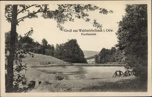 Ak Waldmichelbach Wald Michelbach im Odenwald Hessen, Partie am Forellenteich