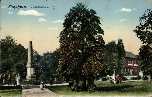 Ak Elmshorn in Holstein, Probstenfelde, Denkmal