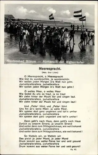 Lied Ak Büsum Kreis Dithmarschen, Abmarsch der Wattenläufer, Meerespracht