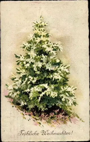 Ak Glückwunsch Weihnachten, Tannenbaum