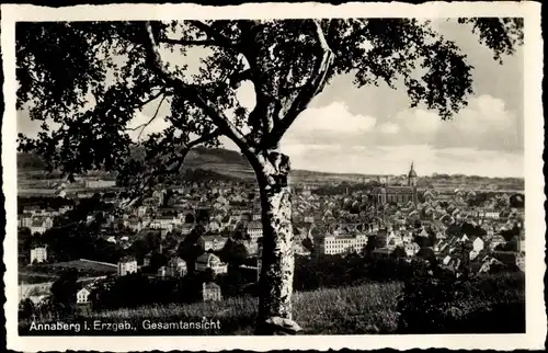 Ak Annaberg Buchholz Erzgebirge, Gesamtansicht