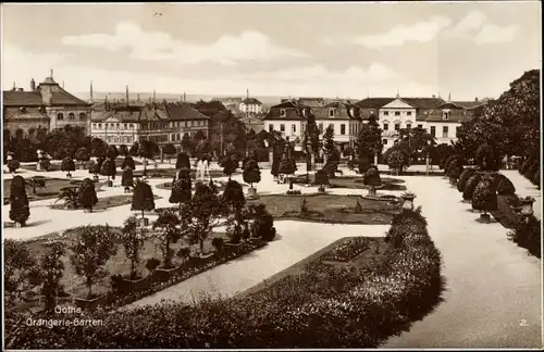 Ak Gotha in Thüringen, Orangerie-Garten