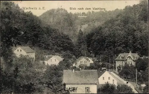 Ak Dresden Wachwitz, Blick nach dem Wachberg