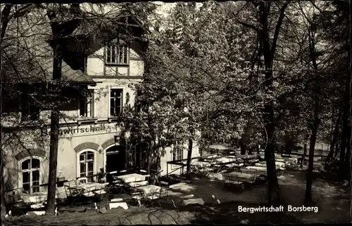 Ak Dresden Schönfeld Weißig Borsberg, Bergwirtschaft, Terrasse