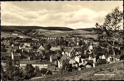 Ak Olbernhau im Erzgebirge, Panorma