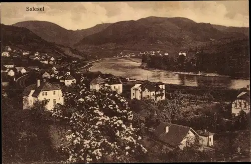 Ak Dolní Zálezly Salesel Region Aussig, Teilansicht