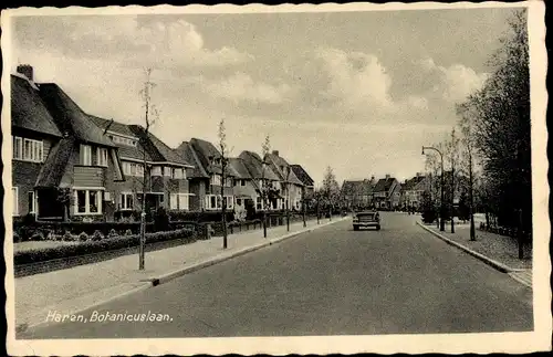 Ak Haren Groningen Niederlande, Botanicuslaan