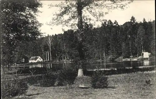 Ak Bolesławiec Bunzlau Schlesien, Partie am Waldschloss