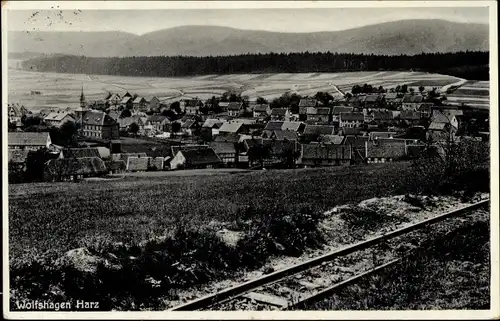 Ak Wolfshagen Langelsheim am Harz, Panorama