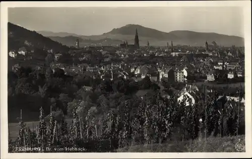 Ak Freiburg im Breisgau, Blick vom Hebsack auf die Stadt