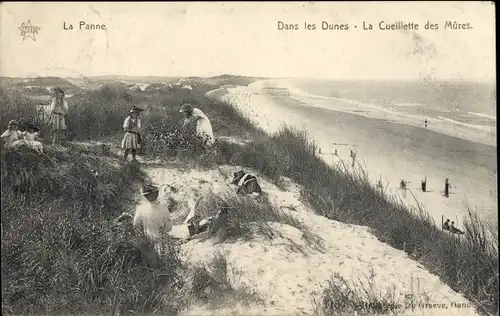 Ak La Panne Westflandern, Dans les Dunes, La Cueillette des Mures