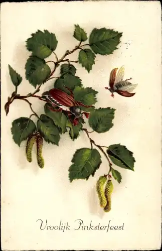 Ak Glückwunsch Pfingsten, Maikäfer, Haselzweig