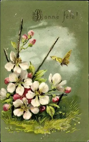 Präge Litho Glückwunsch, Bonne Fete, Blüten, Schmetterling
