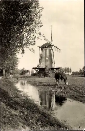 Ak Dordrecht Südholland Niederlande, Windmühle Willem II, Pferd