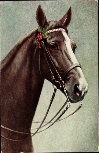 Ak Pferd, Portrait, Zaumzeug