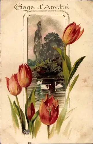 Ak Gage d'Amitie, Tulpen, Teich, Schwäne