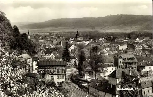 Ak Rudolstadt in Thüringen, Gesamtansicht