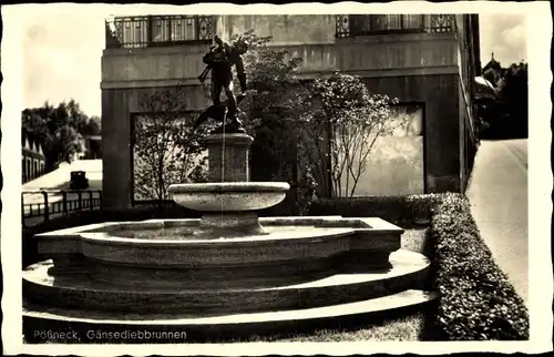 Ak Pößneck in Thüringen, Gänsediebbrunnen