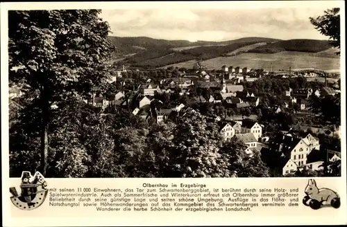 Ak Olbernhau im Erzgebirge Sachsen, Panorama der Stadt, Holzspielzeuge