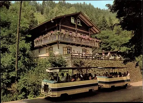 Ak Schwarzburg in Thüringen, Schweizerhaus im Schwarzatal, Schwarzatal Express