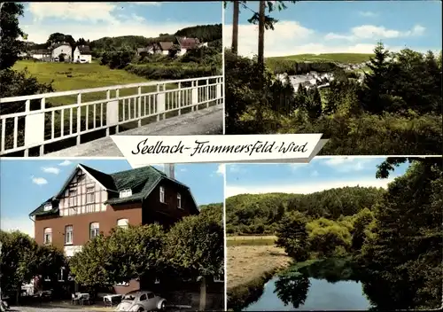 Ak Seelbach im Westerwald, Gasthof Pension Ramseger, Ortsansichten