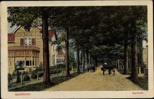 Ak Apeldoorn Gelderland, Marialaan
