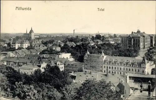Ak Mittweida in Sachsen, Totalansicht