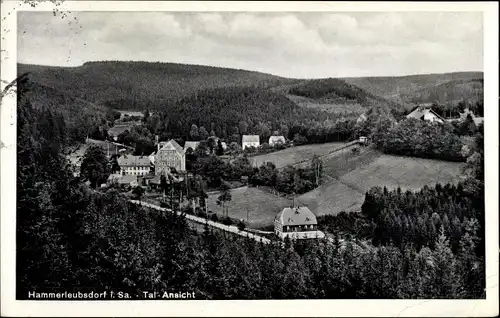 Ak Hammerleubsdorf Leubsdorf in Sachsen, Talansicht