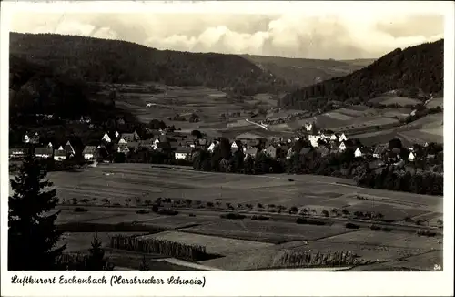 Ak Eschenbach Pommelsbrunn in Mittelfranken, Gesamtansicht