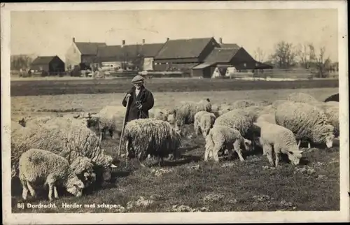 Foto Ak Dordrecht Südholland Niederlande, Herder met schapen