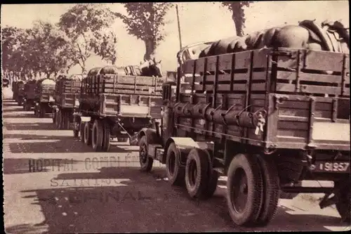 Ak Train des Equipages Militaires, Transport de Chevaux, Militärischer Pferdetransport