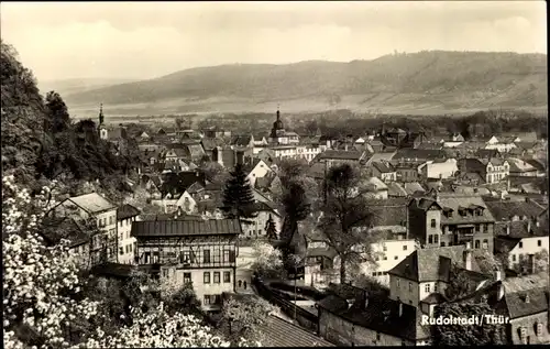 Ak Rudolstadt in Thüringen, Gesamtansicht