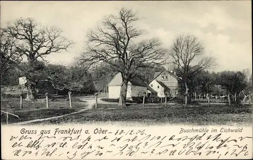 Ak Buschmühle Frankfurt an der Oder, Buschmühle im Eichwald