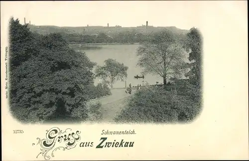 Ak Zwickau in Sachsen, Schwanenteich