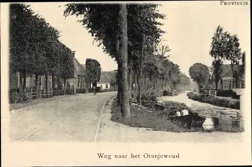 Ak Oranjewoud Friesland Niederlande, Straßenpartie