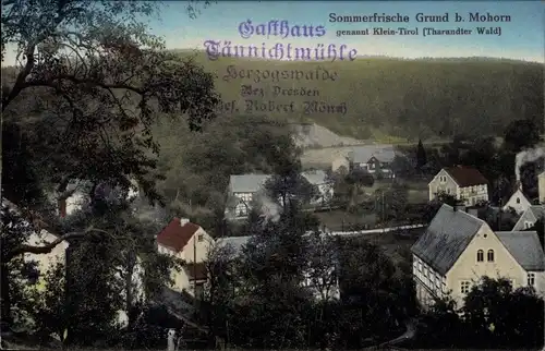 Ak Grund Mohorn Wilsdruff Sachsen, Klein Tirol, Teilansicht