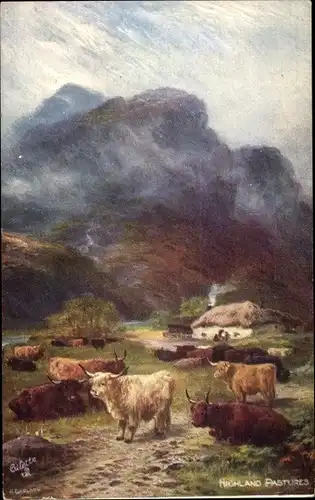 Künstler Ak The Highland Pastures, Ochsen