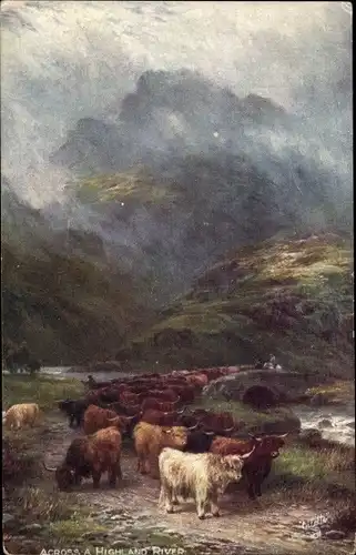 Künstler Ak Across a High and River, Ochsen