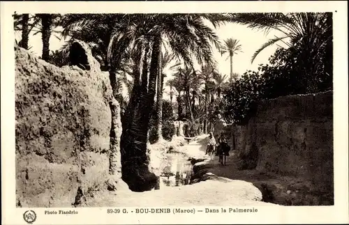 Ak Bou Denib Marokko, La palmeraie, Cluster of palmtrees