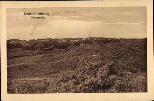 Ak Schiermonnikoog Friesland Niederlande, Duingezicht