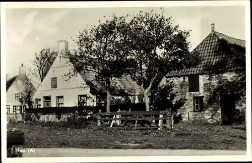 Ak Nes Ameland Friesland Niederlande, Häuser