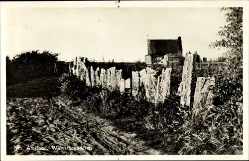 Ak Hollum Ameland Friesland Niederlande, Walvisbeenderen