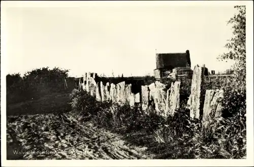 Ak Hollum Ameland Friesland Niederlande, Walvisbeenderen