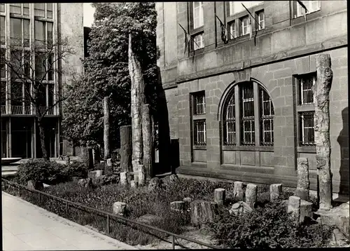 Ak Chemnitz Sachsen, Versteinerter Wald vor dem Städtischen Museum