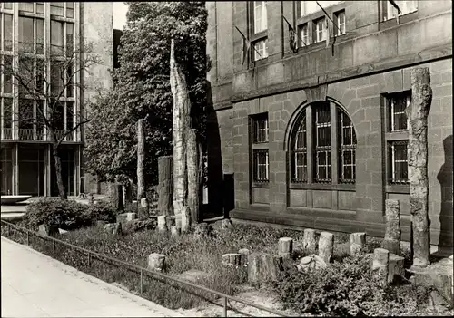 Ak Chemnitz Sachsen, Versteinerter Wald vor dem Städtischen Museum